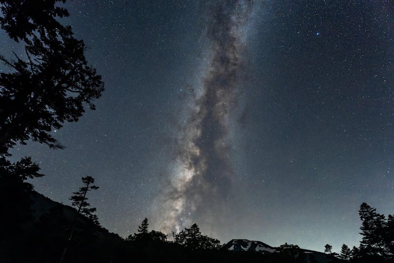 Garden at night with stars